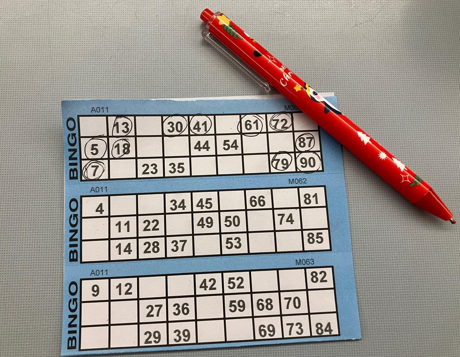 December Meeting – Festive Fun